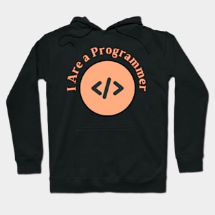 i are programmer Hoodie